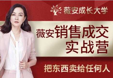 【销售技巧】薇安28天销售高手训练营培训课程视频-副业网