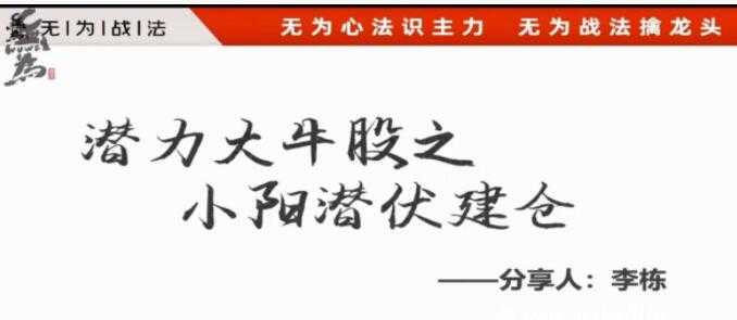 无为李栋《潜力大牛股之小阳潜伏建仓》股票讲座-副业网