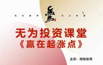 无为傅刚《赢在起涨点》寻底涨停战法视频讲座-副业网