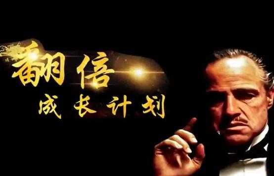 游资教父-炒股技巧《翻倍成长计划》实战股票讲座视频教程-副业网