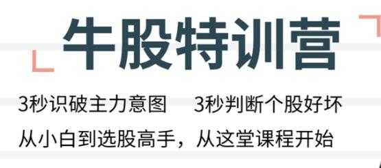 无为李栋炒股技巧《牛股特训营》从小白到选股高手讲座视频-副业网