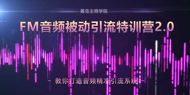 黄岛主·FM音频引流特训营2.0：独家引流模式，单账号50W+播放量，轻松变现-副业网
