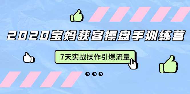 2020宝妈获客操盘手训练营：7天实战操作引爆 母婴、都市、购物宝妈流量-副业网