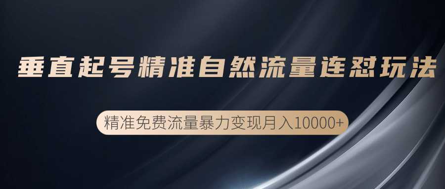 垂直起号精准自然流量连爆玩法，精准引流暴力变现月入10000+-副业网