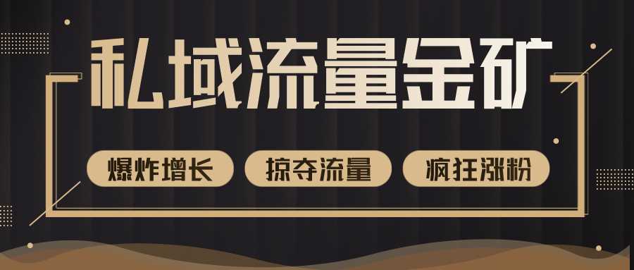 价值2200元私域流量的金矿，循环获取各大媒体精准流量，无限复制网红的精准流量！-副业网