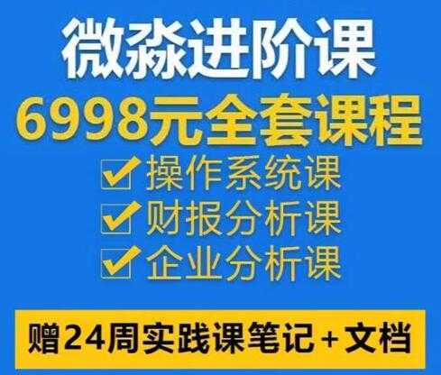 微淼理财进阶全套视频讲座，助你实现财务自由-副业网