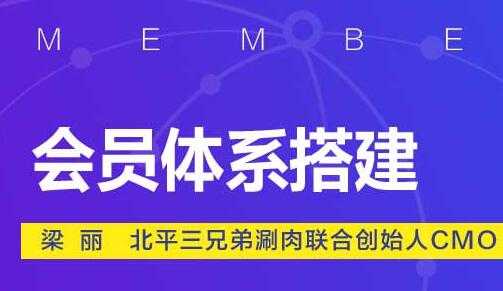 如何做好会员营销，会员体系搭建方案培训视频-副业网