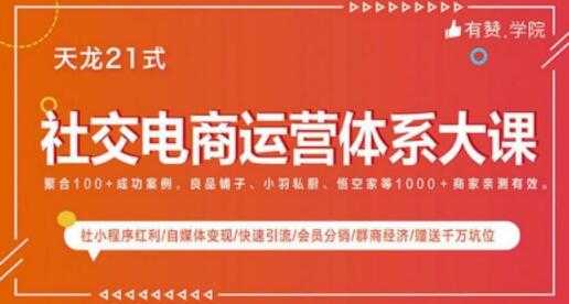 社交电商运营课程，实体新零售拉新留存转化即学即用-副业网
