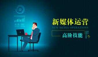 新媒体运营高阶技能，培训课程视频-副业网