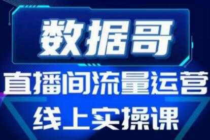 数据哥《直播间流量运营线上实操培训课程》不能错过的一套系统课教程-副业网