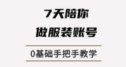 锤石传媒张智诚7天陪你做服装账号，0基础手把手教学课程视频-副业网