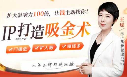 IP打造吸金术，0基础0资源，也能扩大影响力100倍，让钱主动找你！-副业网