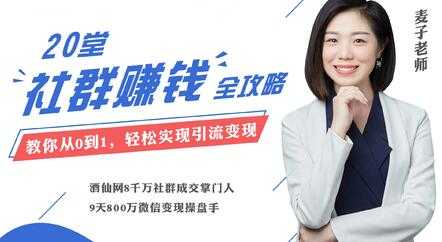 麦子《20堂社群运营赚钱攻略》即学即用的全体系社群掘金大课-副业网