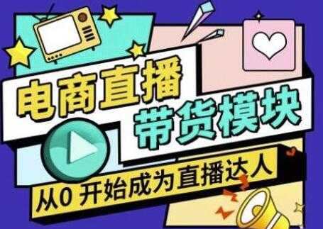 大鹏《电商直播带货培训视频》教你系统学习直播带货各环节技巧和套路-副业网