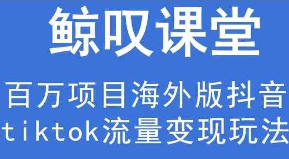 鲸叹号《海外TIKTOK训练营》百万项目海外版抖音tiktok流量变现玩法-副业网