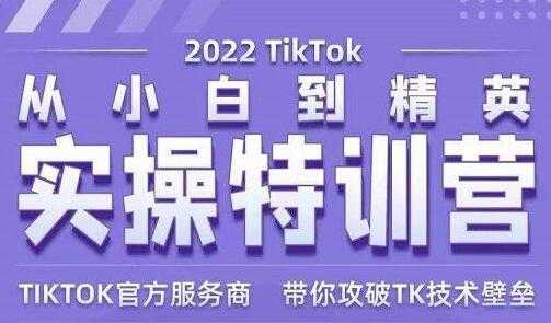 Seven漆《Tiktok从小白到精英实操特训营》带你掌握Tiktok账号运营-副业网