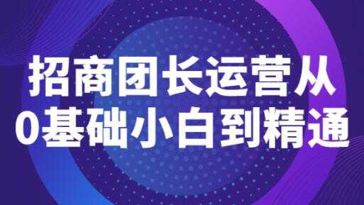 《招商团长运营》从0基础小白到精通-副业网
