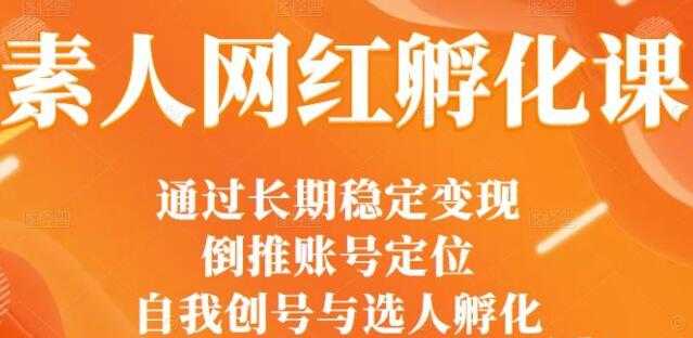 马大个《素人网红孵化课》通过长期稳定变现，自我创号与选人孵化-副业网