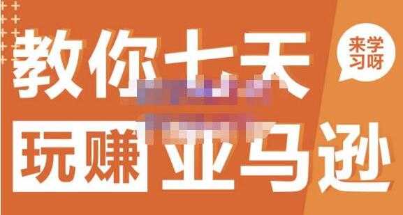 晟尧跨境《亚马逊电商怎么做》教你七天玩赚亚马逊-副业网