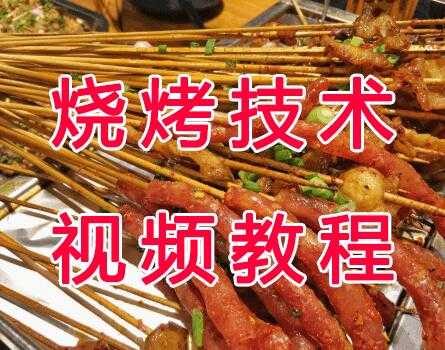 烧烤技术配方大全教学视频教程-副业网