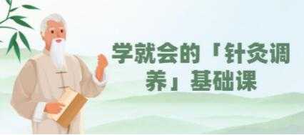 一学就会的《针灸调养》基础视频教学-副业网