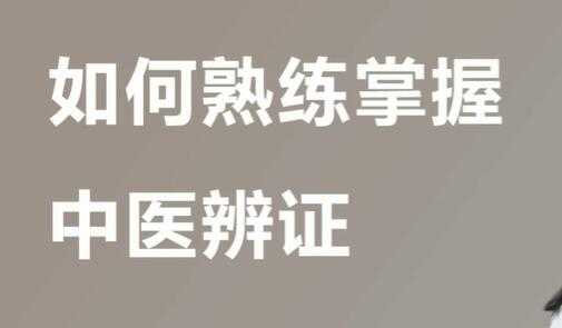 宋月晗《中医辨证视频》教你准确辨证，一学就懂-副业网