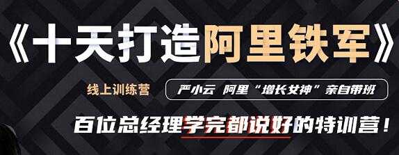 严小云销售特训营《十天快速打造阿里铁军》百位总经理学完都说好-副业网