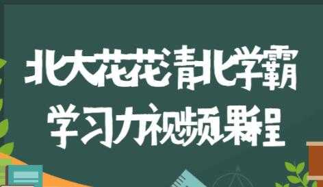北大花花《清北学霸360°学习力》家庭养育指南，全方位解决学习和成长问题-副业网