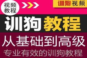 专业训狗视频教程，从初级基础到高级训狗教程视频-副业网