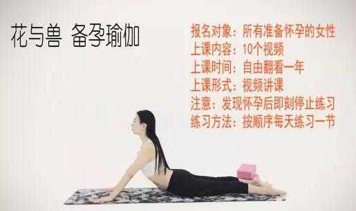 花与兽瑜伽课程《备孕瑜伽》教程视频-副业网