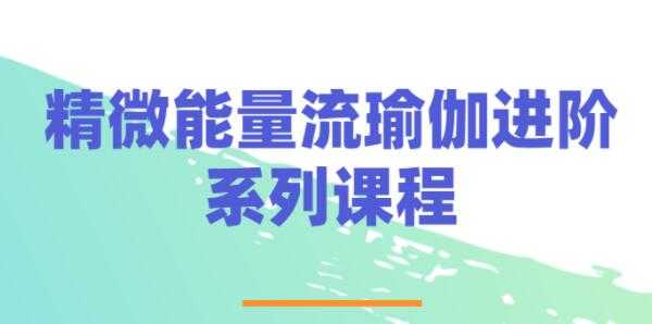 精微能量《流瑜伽》视频教程，练习进阶培训课程-副业网