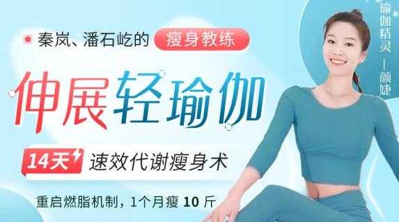 颜婕《伸展轻瑜伽》14天速效代谢瘦身瑜伽教程视频-副业网