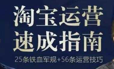 《淘宝运营速成指南》25条铁血电商军规+56招运营技巧-副业网