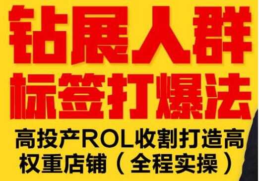 逐鹿《淘宝钻展人群标签打爆法》高投产ROL收割打造高权重店铺(全程实操)-副业网