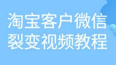 《淘宝客户微信裂变》培训课程视频教程-副业网