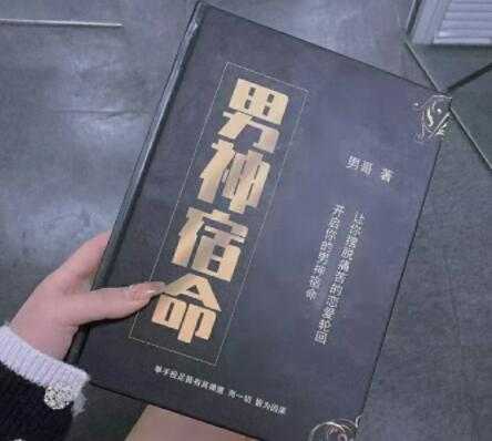 男哥《男神宿命》pdf电子版下载-副业网