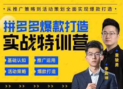 玺承云《拼多多爆款打造实战特训营》一套从入门到高手课程-副业网