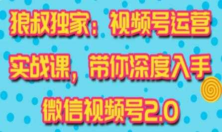 微信视频号运营实战2.0，独家最新玩法，快速吸粉吸金-副业网