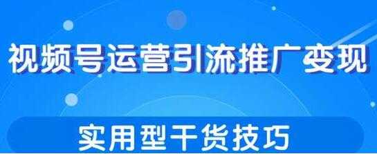 视频号运营引流推广变现，实用型干货技巧-副业网