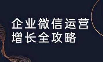 企业微信运营攻略 (引流+裂变+运营+成交) 培训课程视频-副业网