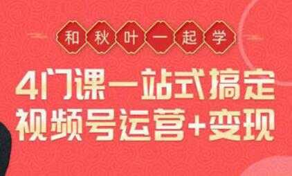 一站式搞定视频号运营变现，从0到1学视频号运营实操培训课程视频-副业网