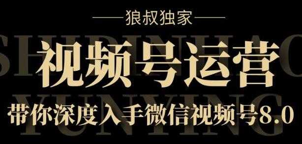 微信视频号运营实战8.0，带你深度入手微信视频号-副业网