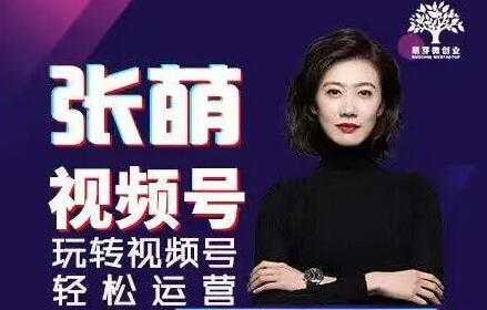 张萌 视频号实战训练营培训课程，轻松玩转视频号运营-副业网