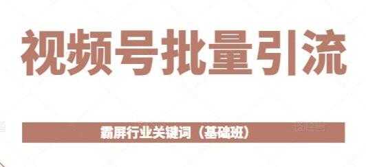 《视频号批量引流》霸屏行业关键词玩法（基础班）-副业网