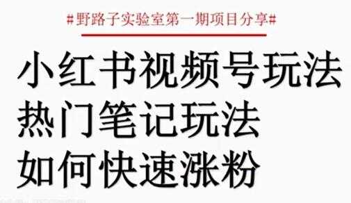 小红书视频号项目，直接上手操作，月入过万-副业网