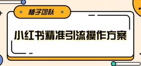小红书精准引流操作方案，能够直接落地实操引流技术-副业网