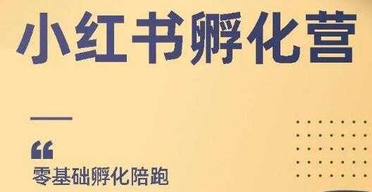 小红书撸金项目，教你如何快速起号获得曝光，做到月躺赚在3000+-副业网