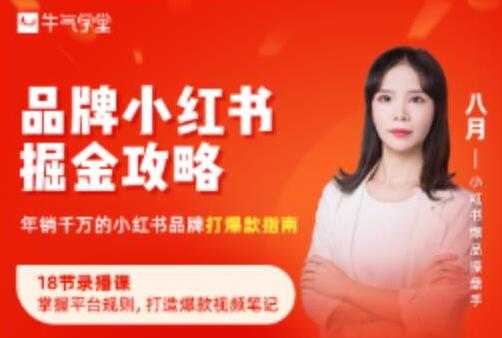 《品牌小红书掘金攻略》年销千万的小红书品牌打爆款指南-副业网