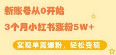 小红书涨粉变现《新账号从0开始3个月小红书涨粉5W+》实现单篇爆粉-副业网