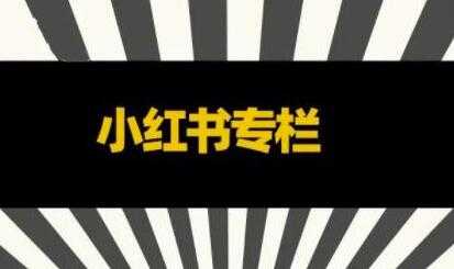 品牌医生《小红书全链营销干货》5个起盘案例，营销策略规划，避坑指南-副业网